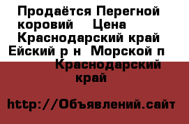 Продаётся Перегной (коровий) › Цена ­ 200 - Краснодарский край, Ейский р-н, Морской п.  »    . Краснодарский край